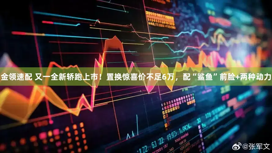 金领速配 又一全新轿跑上市！置换惊喜价不足6万，配“鲨鱼”前脸+两种动力