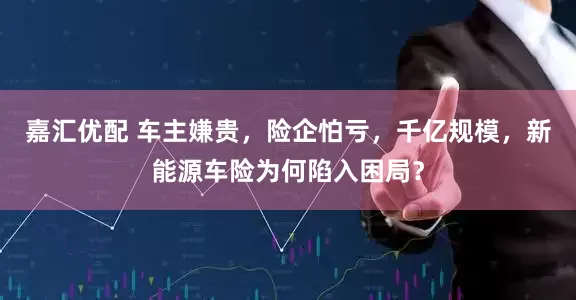 嘉汇优配 车主嫌贵，险企怕亏，千亿规模，新能源车险为何陷入困局？