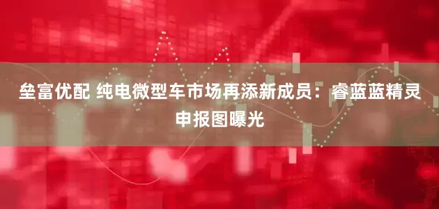 垒富优配 纯电微型车市场再添新成员：睿蓝蓝精灵申报图曝光
