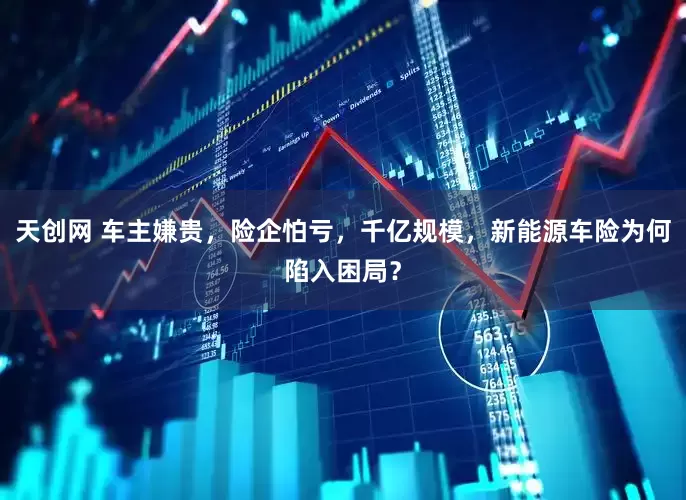 天创网 车主嫌贵，险企怕亏，千亿规模，新能源车险为何陷入困局？