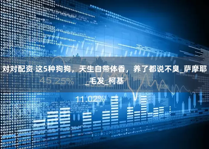 对对配资 这5种狗狗，天生自带体香，养了都说不臭_萨摩耶_毛发_柯基