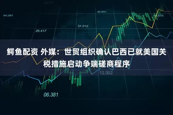 鳄鱼配资 外媒：世贸组织确认巴西已就美国关税措施启动争端磋商程序
